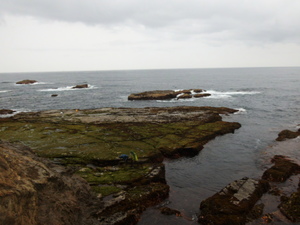 DSCF0952.JPG